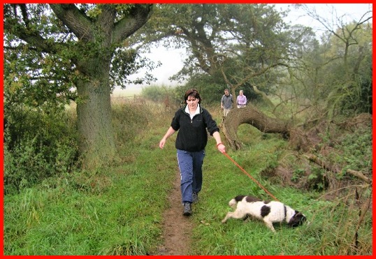 Keeping a dog under control on the muddy and slippy path after Mary Lane .